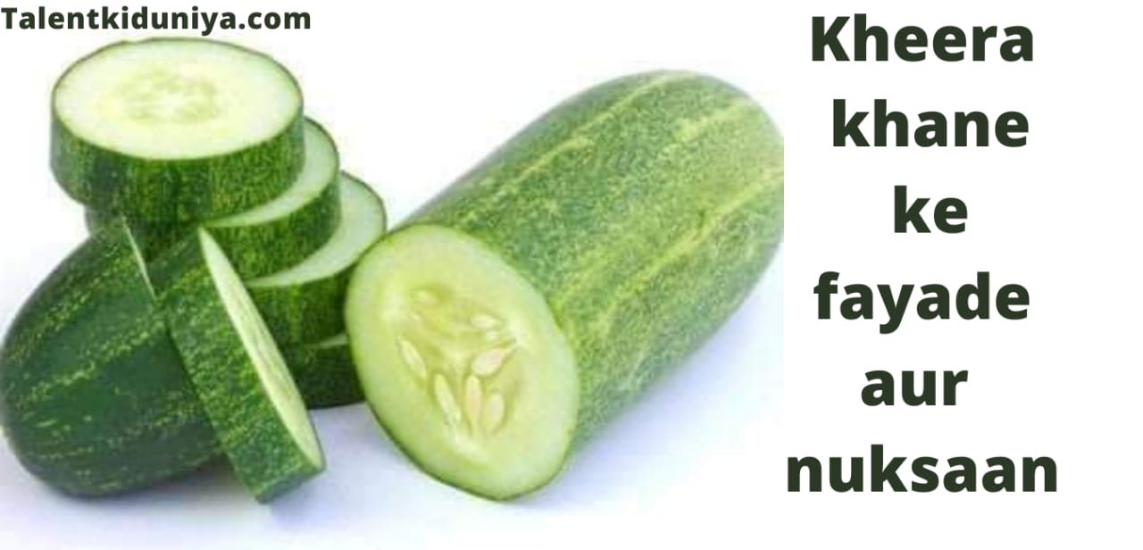खीरा खाने के फायदे और नुकसान : Cucumber Benefits and Side Effects in Hindi